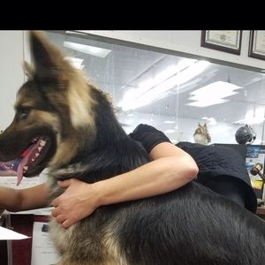 Meet your Posher, John